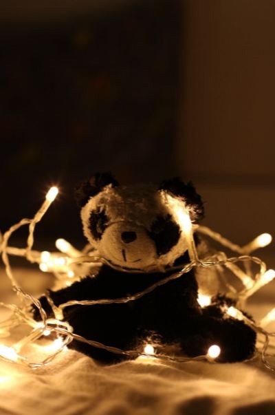 Tiny panda plush toy surrounded with fairy lights. 